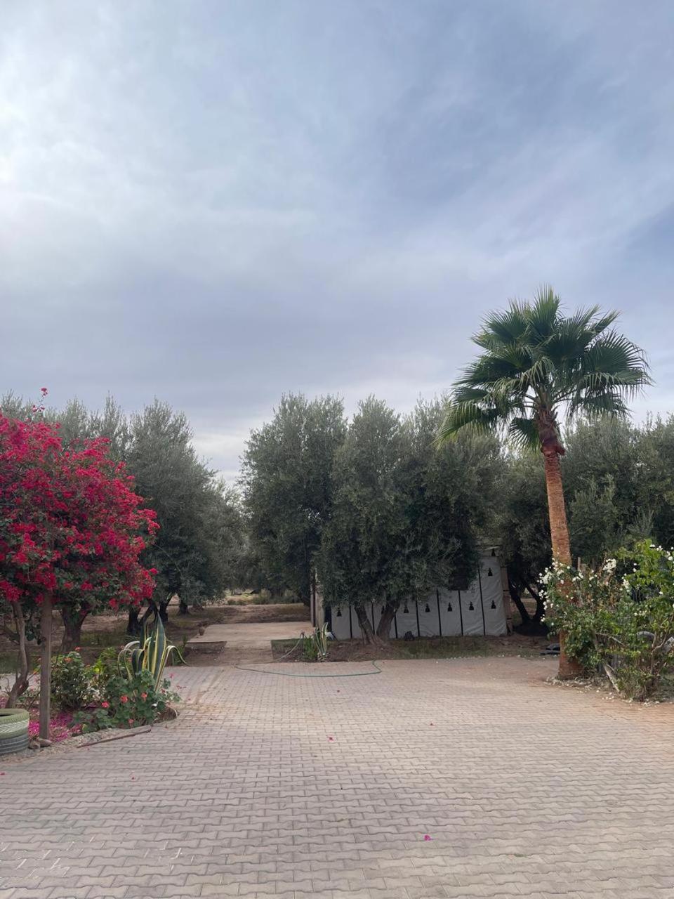 Riad Oussari Marrakesh Eksteriør bilde